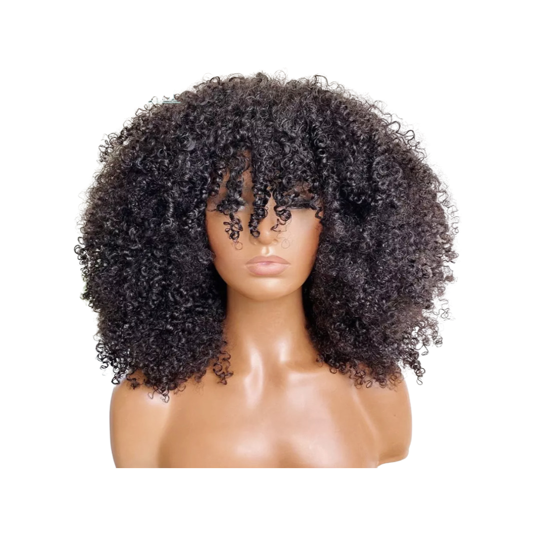 13x6 Kinky Curly Wig