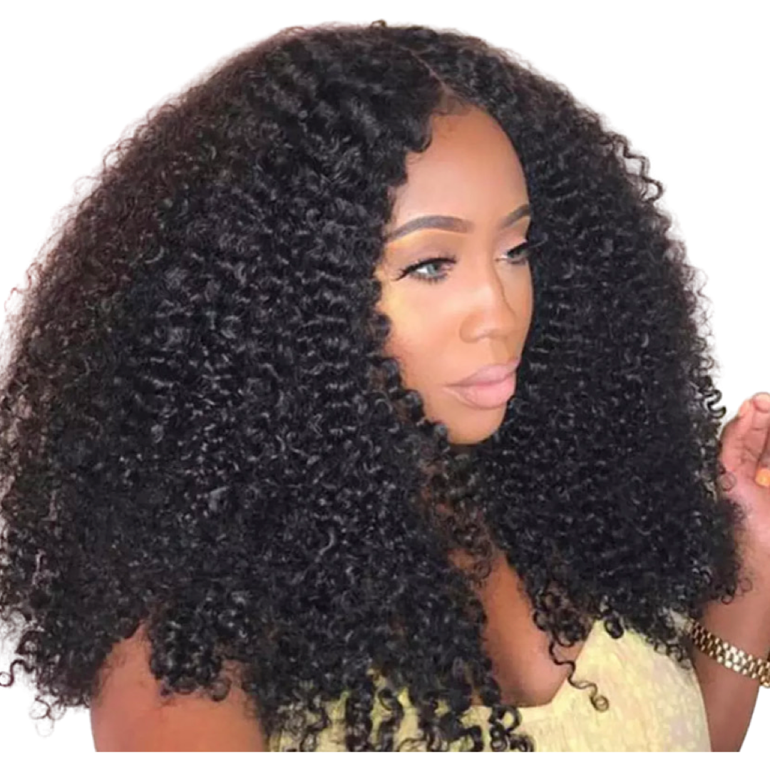 13x6 Kinky Curly Wig